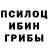 Псилоцибиновые грибы ЛСД Striped one