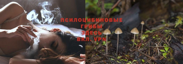прущие грибы Белоозёрский