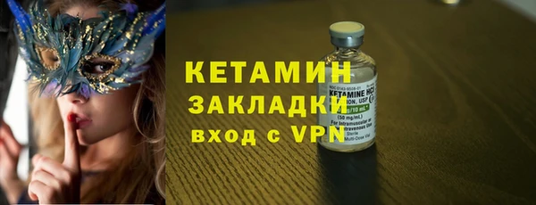 шишки Тавда