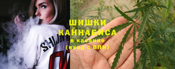 PSILOCYBIN Беломорск