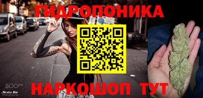 прущие грибы Волгодонск