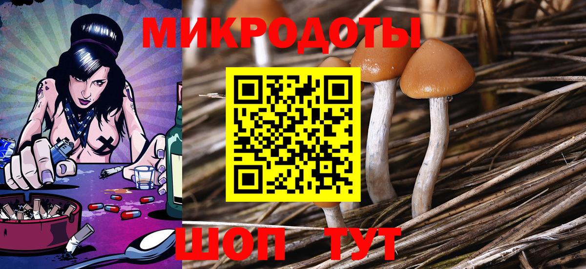 Псилоцибиновые грибы Magic Shrooms Гай