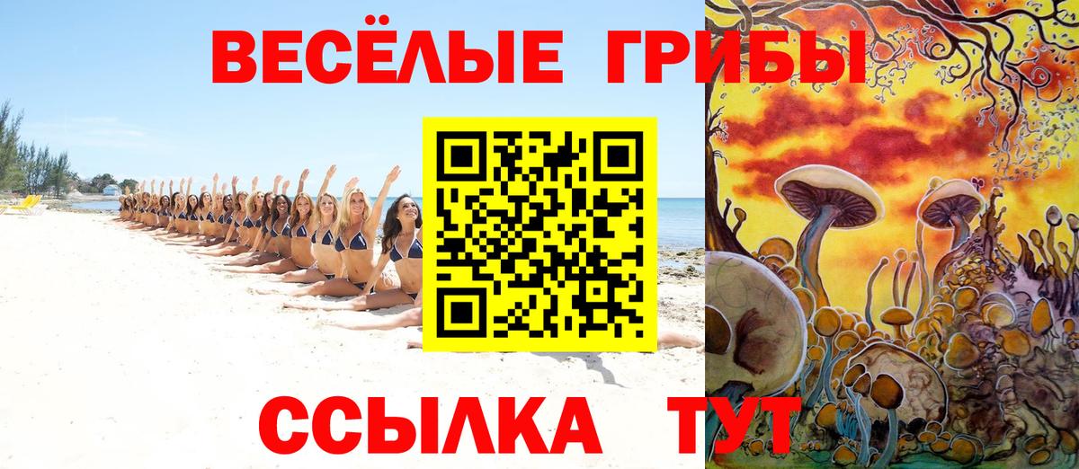 Псилоцибиновые грибы Magic Shrooms  Вход с VPN  Гай 