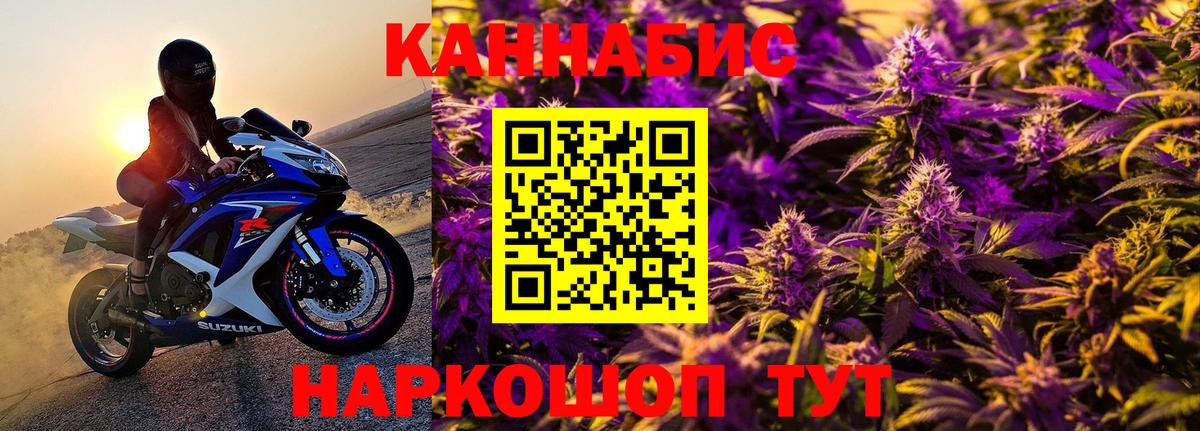 Бошки Шишки гибрид  Канабис конопля  Канабис White Widow  Гай  Марихуана план 